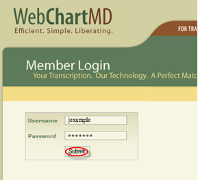 Website Screenshot Login